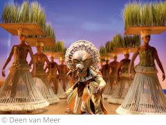 Tickets Disneys der K�nig der L�wen